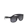 Ray-Ban Justin Classic Sunglasses