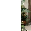 Bathroom Floor Mat 40x60cm Diatomite Absorbent Mat For The Toilet Entrance Carpet Entryway Doormat For Hallway Shower Toilet Mat