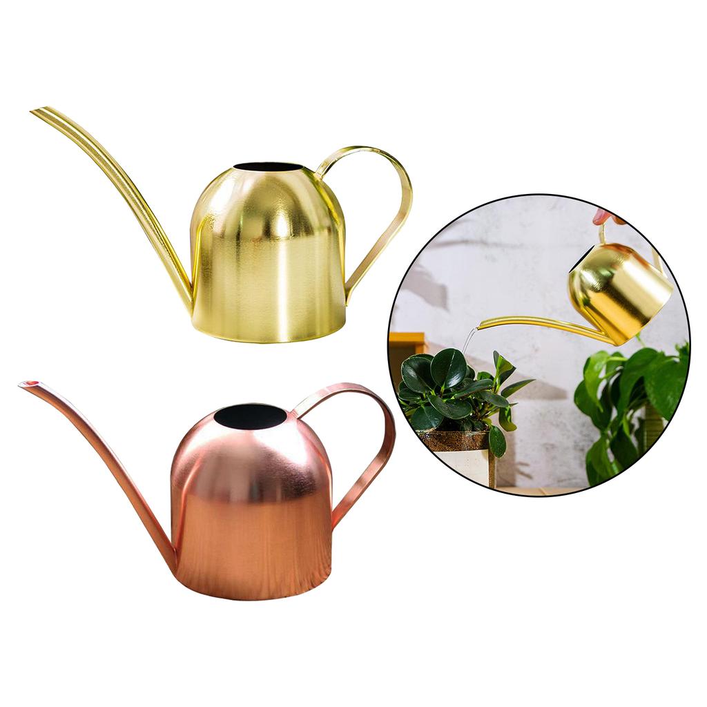 Watering Can for Indoor Plants Orchid Bonsai Stainless Steel Small Watering Can