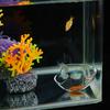 Yousheng Fish Tank Feeder High Transparency Hook Design Fish Shrimp Feeding Tube Feeder Home Use