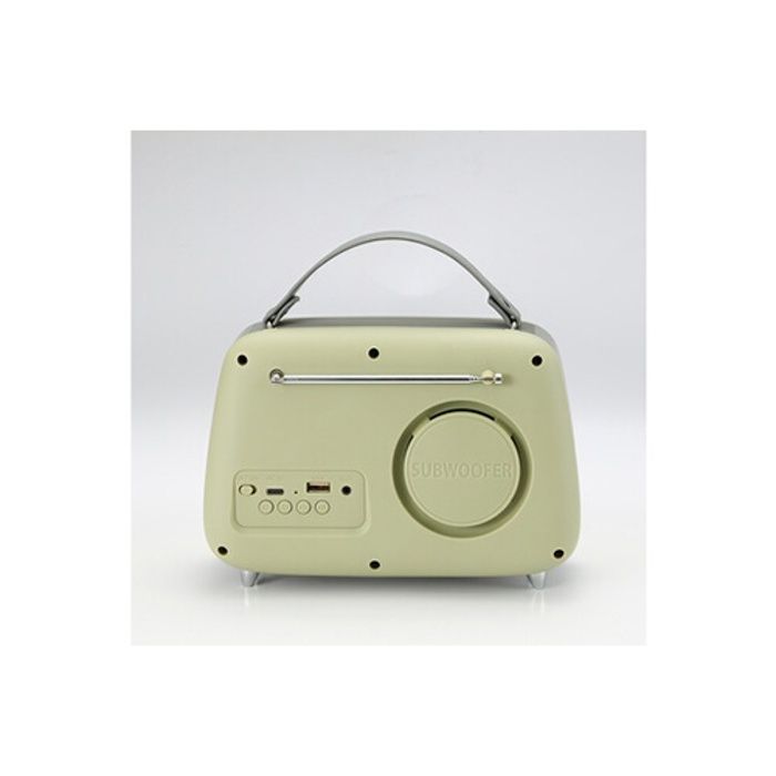 Radio halterrego enceinte radio retro rms 5w, bluetooth, radio fm, lecteur usb, aux in, batterie rechargeable, vert olive