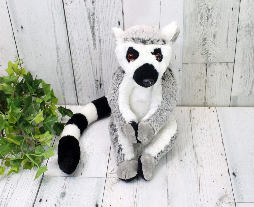 Take Off Ring-Tailed Lemur M