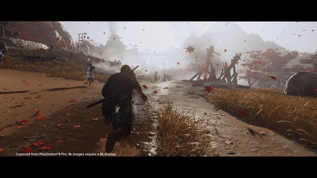 Fantasma di Tsushima Nord PS4 (Versione Importata America) -