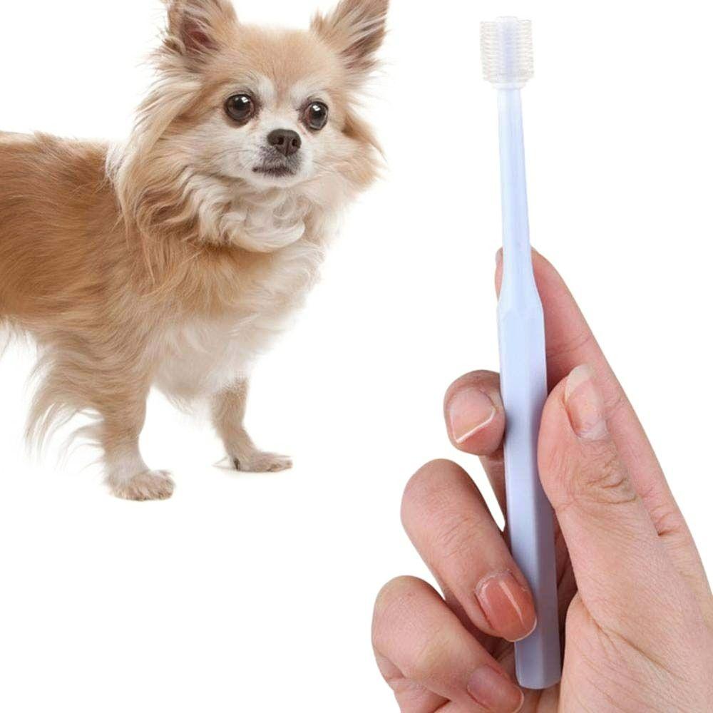

Size Pet Dog Cat Remove Bad Breath Dog Brush Tool Pet Supplies Dog Cleaning Brush Pet Toothbrush Green-Round Head