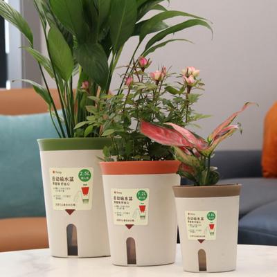 Dvojvrstvový samozavlažovací hydroponický kvetináč Plastový lenivý automatický kvetináč na rastliny absorbujúci vodu Črepníkové kvetináče Kancelária Domov