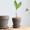 Deko & Wohnaccessoires – Dekorative Blumentöpfe