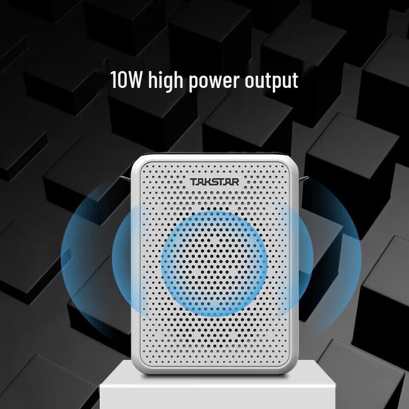 TAKSTAR E300W Wireless Portable Amplifier