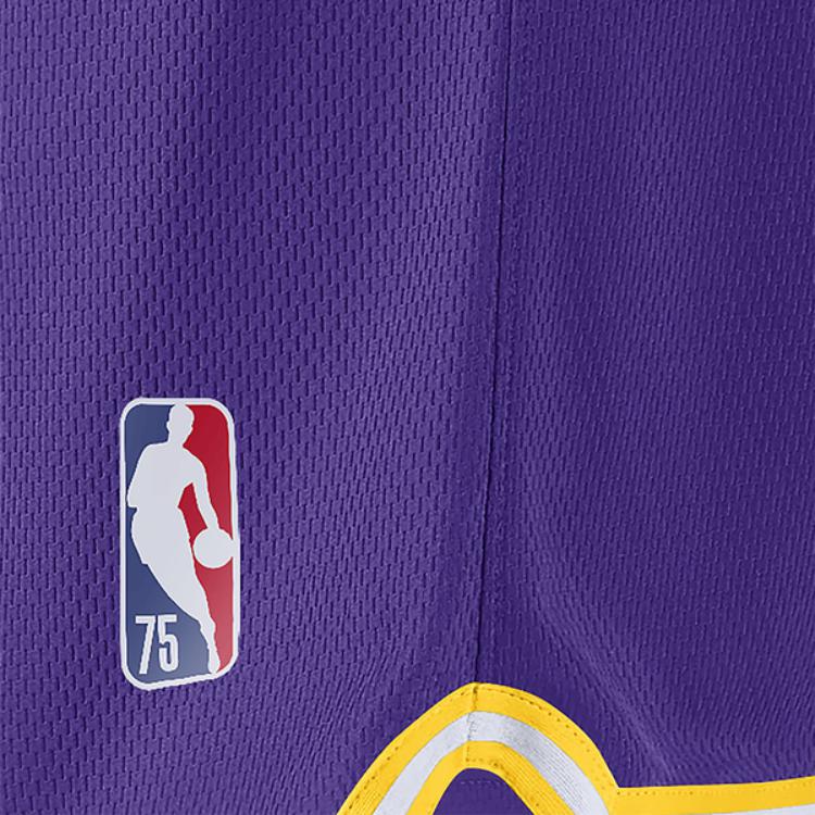 Nike American Retro Basketball Shorts, Los Angeles Lakers Edition Men Bottoms Purple DB1802-504