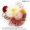 Hair ornament 2 piece set furisode coming of age ceremony chrysanthemum mizuhiki white red wk-335