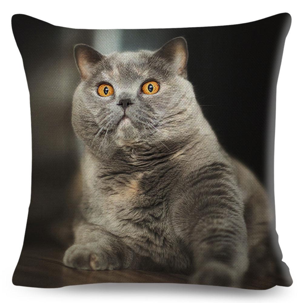 Housse de coussin British Shorthair bleu russe, taie d'oreiller en Polyester, décoration de chat mignon, Animal de compagnie, pour canapé, maison, voiture