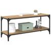 TV Cabinet Artisan Oak 100x33x41 Cm Engineered Wood and Iron