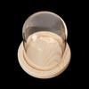Terrarium Bottle with Wooden Base Dust Cover Glass Cloche Jar Display Stand Cover Display Box Immortal Flower Storage Bottle