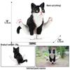 Solid Orange Persian, Ragdoll, Somali, and Blue Short-haired Cat Simulation Models