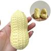 Realistic Peanut Stress Ball Anxiety Relief Non Rebound Fidget Toy  Home Decoration