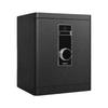 SMVP Fingerprint & Password Office Safe Box