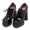 Women's Black Block High Heels Pumps Shoes Platform Sexy 2025 Sping Super Gothic Heeled Dance Party Stripper Shoes Ladies