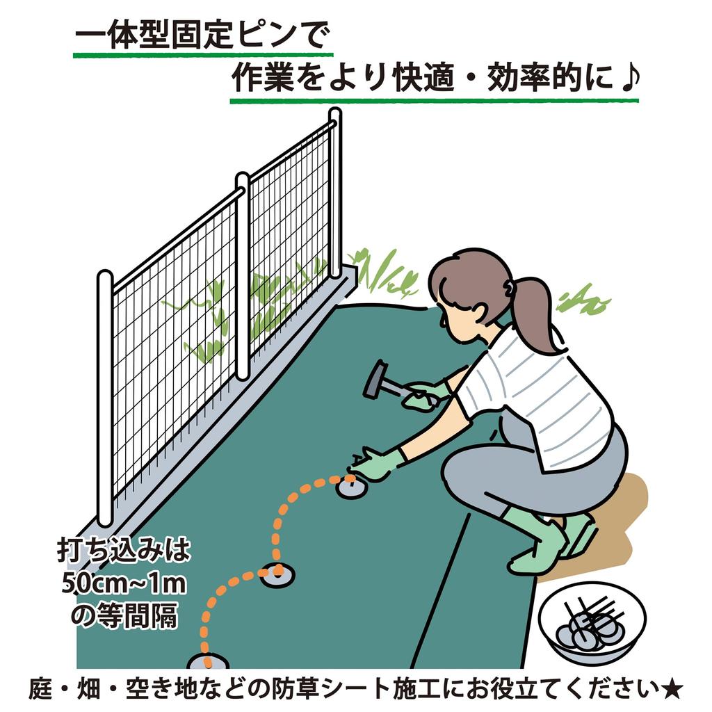 CLEAN HOUSE Weed Control Fabric Fixing Pins, Nail-Shaped, Set of 50, Black Circle, One-Piece, 20cm, No Assembly Required