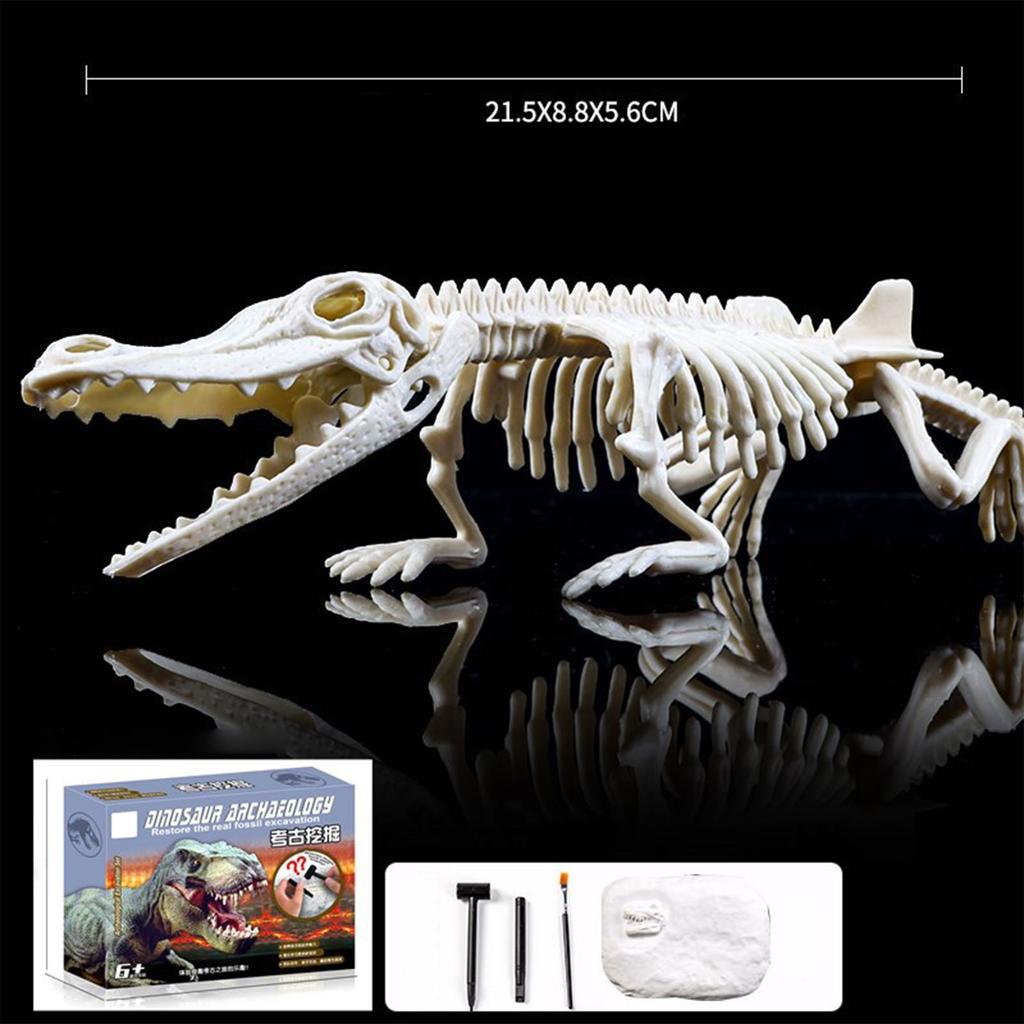 Dinosaur Dig- Kit | Creative Dinosaur Dig- Kit, Dig- Activity Kit, Gift For Boys And Girls