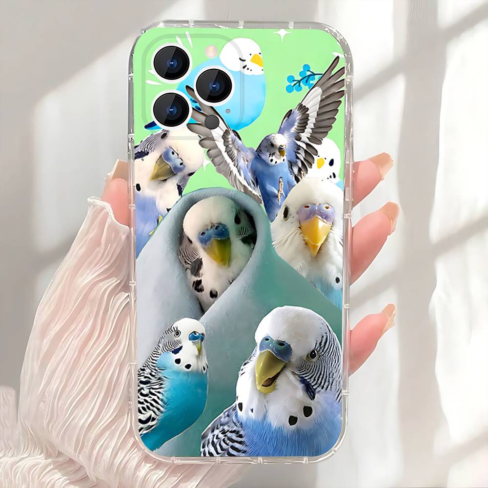 

Chubby Cockatiel Parrot Bird Phone Case For iPhone 17,16,15,14,13,12,11 Pro,Max,Plus,X,XS,XR,SE4,E Mini Transparent Soft Cover iPhone17