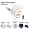 Solar USB Curtain String Lights with Remote Control - Copper Wire Fairy Lights for Christmas Decoration