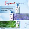 Safeguard Healthy Clean Duschgel