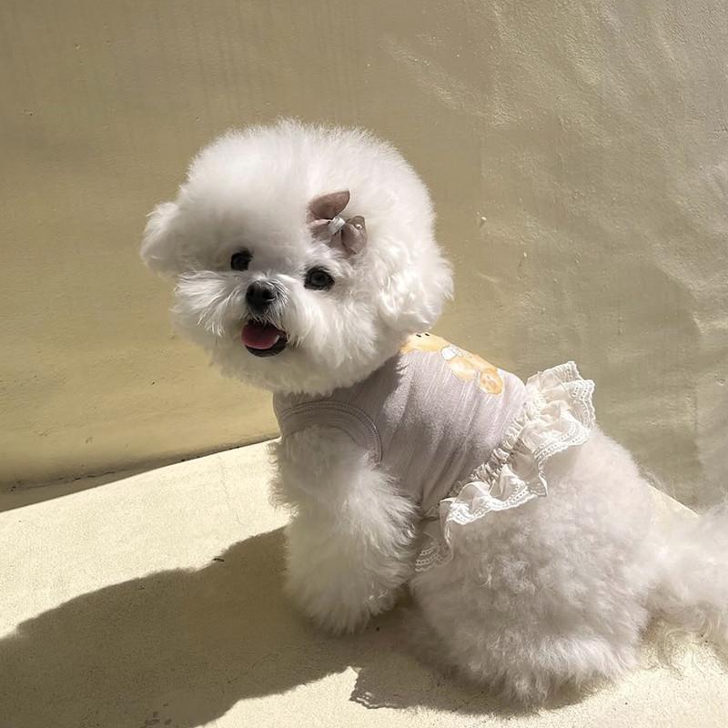 Dog Clothes Lace Skirt Small Dog Teddy Bichon Pomeranian Cat Small Dog Summer Thin Pet Clothing