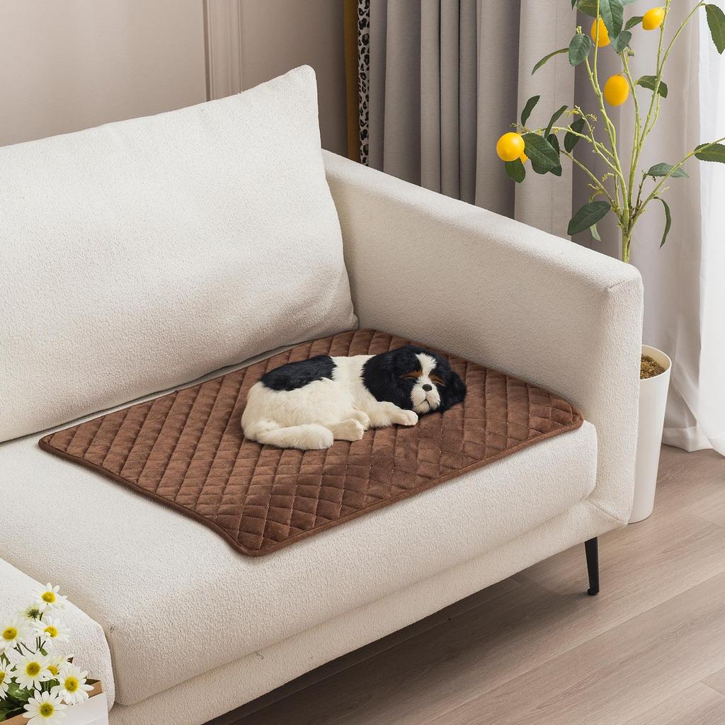 Multi-Purpose Anti-Slip Pet Mat – Plush Floor Mat for Cats & Dogs