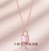 S925 Sterling Silver Shell Lock Necklace Women's Original Design Korean Fashion Instagram Style Daily Life Luxury Cross Chain