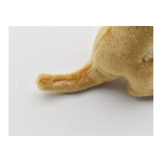 Kangaroo No3424