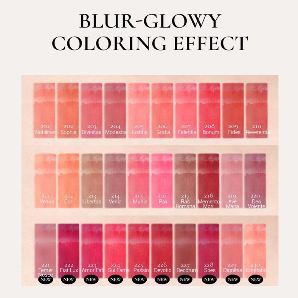 Dinto Blur Glowy Lip Tint 3.5g