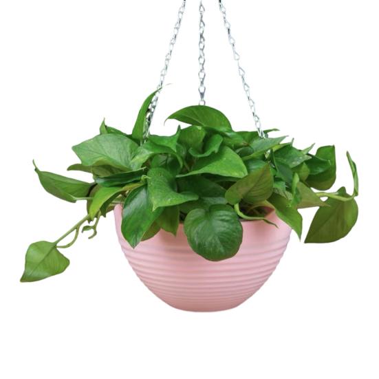 7 Stück Hängepflanzgefäße Blumentöpfe mit Drainagelöchern und Metallketten Hängende Kunststoff-Blumentöpfe für den Innen- und Außenbereich