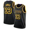LeBron James Basketball Jersey Set NBA Team Uniforms Lakers 76ers Heat Cavaliers 23 6 Number Custom Stitched Sportswear