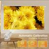 Cross Projector P30 Pro: 4K HD Android Home Theater Portable Smart Projector