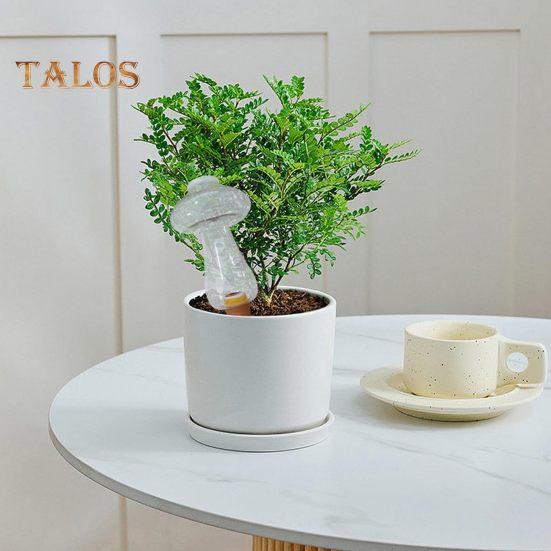 300ML Blomvattnare Självvattnande Spikar Transparenta Automatiska Växtbevattningsanordningar Automatiska Droppbevattnare Svamp Glasboll Utomhus Inomhus Trädgårdsväxter