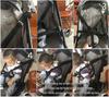 Adjustable 3-Point & 5-Point Safety Harness for Child Seats & Strollers