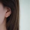 Exquisite Arc Shell Pearl Zircon 925 Sterling Silver Plated 14K Gold Earrings for Women Gentle Small Elegant Jewelry Accessories