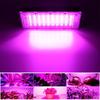 LED Grow Light Full Spectrum 100W 200W 300W Plant Growth Light for Greenhouse Cultivation Flowers and Plants Spotlight