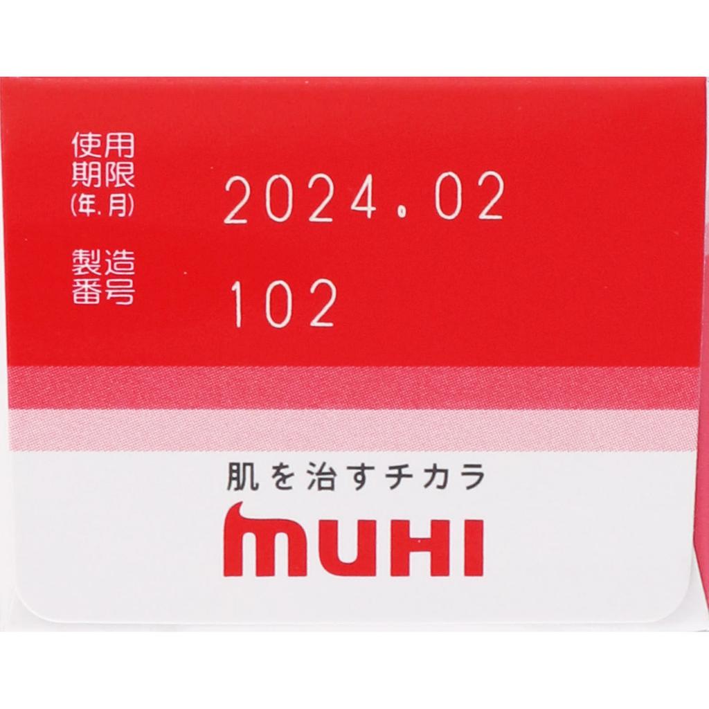 Ikeda Mohan-do Delicare B 35g Other (check Locks, Tongue Cleaners, Etc.) Efficacy: Itching, Rashes, Sores, Eczema, Dermatitis, Hives, Prickly Heat, In