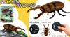 Doyusha IRC Running Insect Series Sawtooth Stag Beetle Electric Infrared Control No. 9996-G