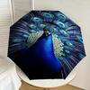 1pc peacock feathers Automatic Open/Close Umbrella with Windproof, 8-Rib Sturdy Canopy, Durable Ribs, Fashionable Design1248A
