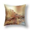 45x45cm Nordic Ins Abstract Gold Blue Marble Print Cushion Cover Sofa Office Seat Lumbar Pillow Cover Home Decoration