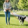 DELUXEFOX Dog Sponge Comfortable Reflective Material for Nighttime Metal Suitable for and Large Pet Supplies Leash, Nylon, 1.5m Length, 1.0-1.2cm