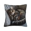 Cat Nap Artistic Design Pillow Case Kawaii Pillow Cover Comfy Pillowcases For Sofa Home Decor