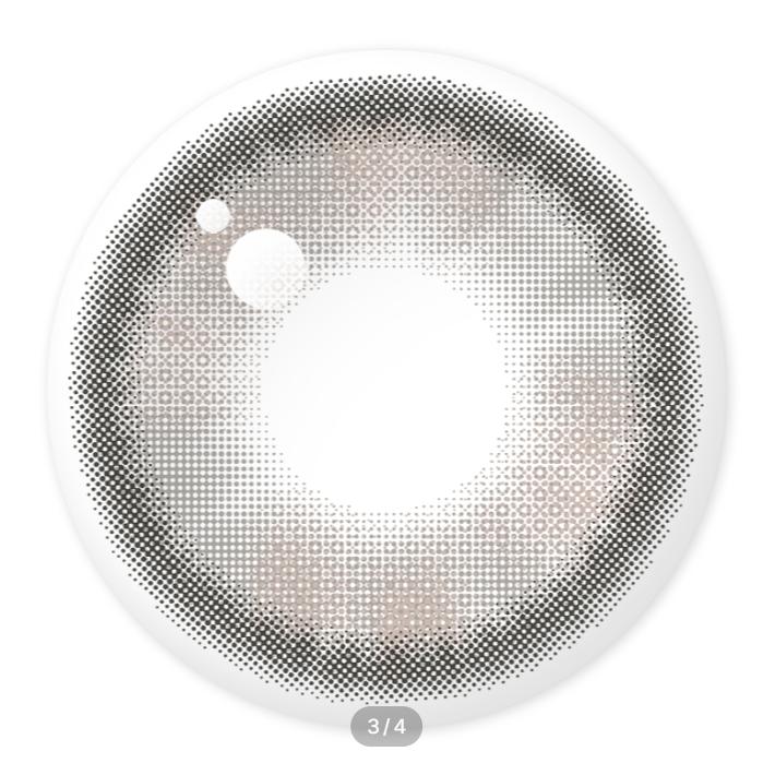 Sorgo Un Día Holandés Gris