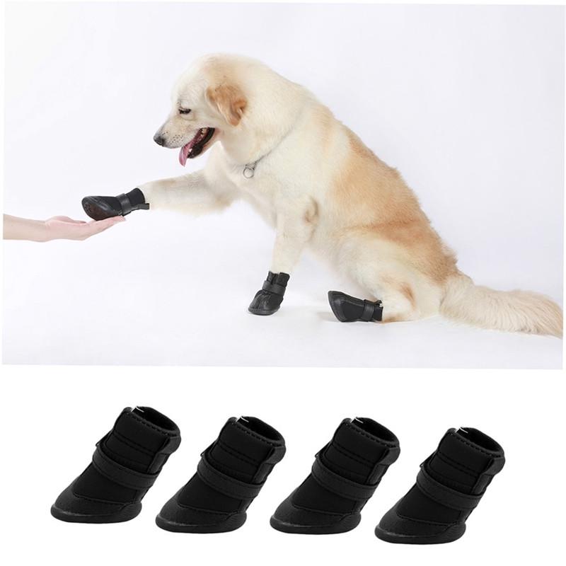 cute dog boots