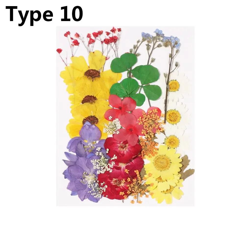 Dried Flowers UV Resin Decorative Natural Flower Stickers 3D Pressed Dried Flowers Beauty Decal Nail Art Epoxy Mold Filling