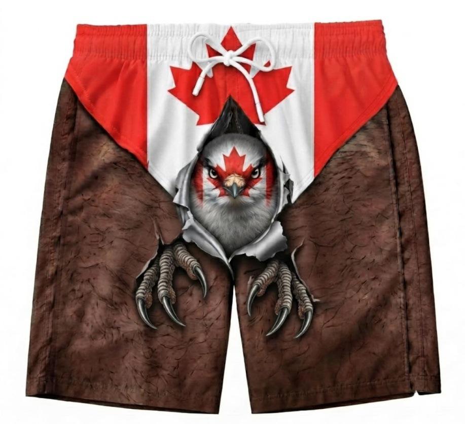 Men's American Flag Quick-Dry Summer & Fall Beach Swim Trunks - Casual Plus Size Shorts