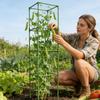 Tomato Cage 64 Inch Square Heavy Duty Stakes Cucumber Trellis Plant Cage Support for Climbing Vine Flower Vegetable Fruit Indoor