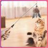 Insect Feather Cat Teaser with Replacement Handle and Head
