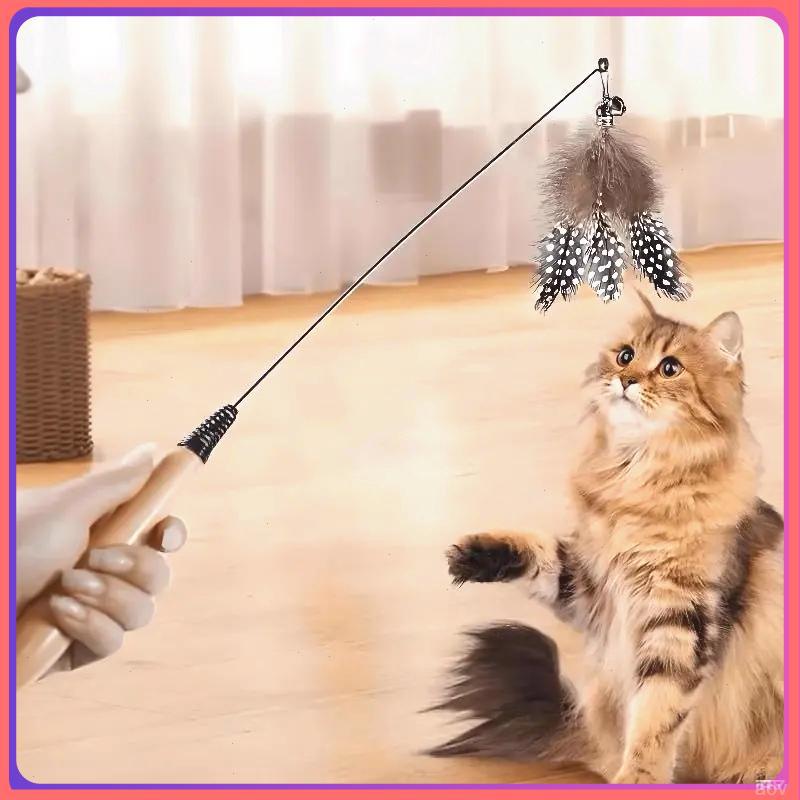 Insect Feather Cat Teaser with Replacement Handle and Head
